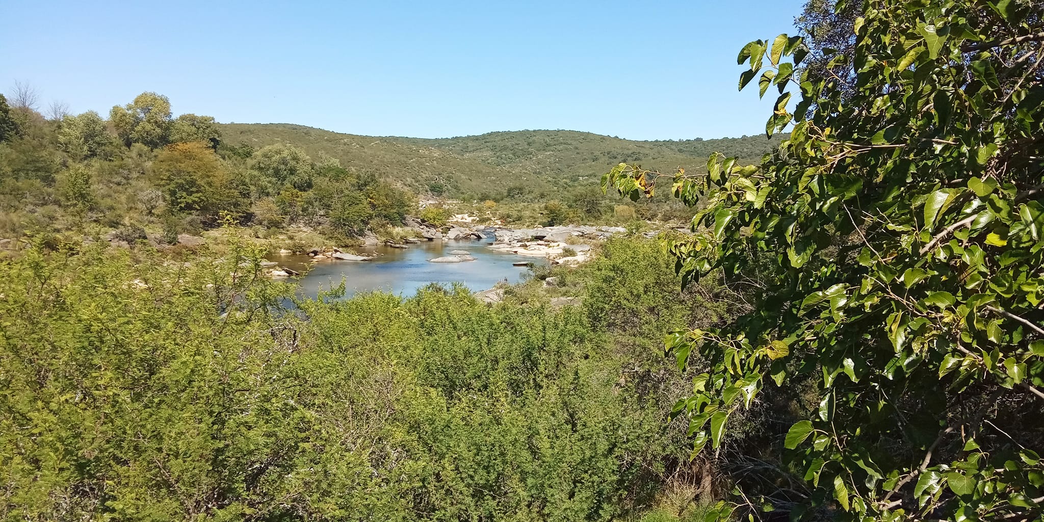 COSQUIN 9